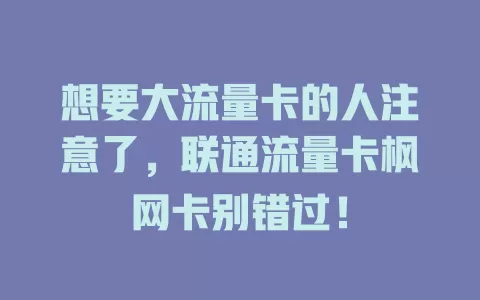 想要大流量卡的人注意了，联通流量卡枫网卡别错过！