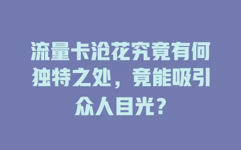 流量卡沧花究竟有何独特之处，竟能吸引众人目光？