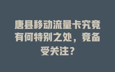 唐县移动流量卡究竟有何特别之处，竟备受关注？