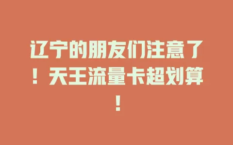 辽宁的朋友们注意了！天王流量卡超划算！
