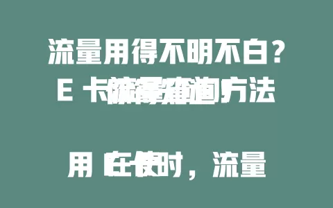 流量用得不明不白？E 卡流量查询方法你得知道！

在使用 E 卡时，流量查询很关键。很多人流量减少却不知咋回事，这时准确查询就尤为重要。常见查询方式有官方 APP、客服电话、短信查询，掌握这些让你流量用得明白又放心。