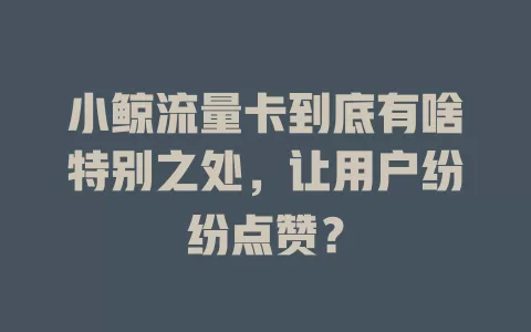 小鲸流量卡到底有啥特别之处，让用户纷纷点赞？
