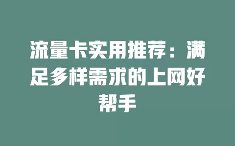 流量卡实用推荐：满足多样需求的上网好帮手