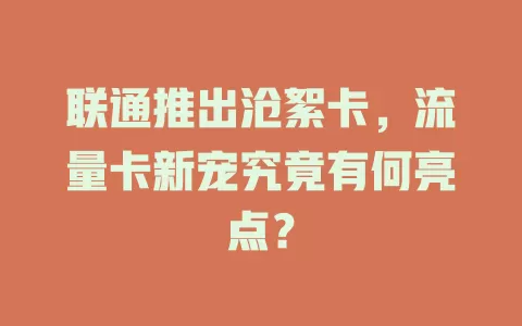 联通推出沧絮卡，流量卡新宠究竟有何亮点？