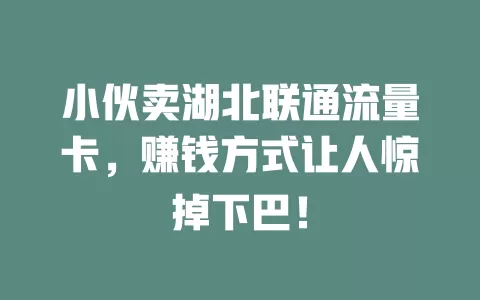 小伙卖湖北联通流量卡，赚钱方式让人惊掉下巴！