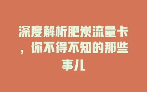 深度解析肥炭流量卡，你不得不知的那些事儿