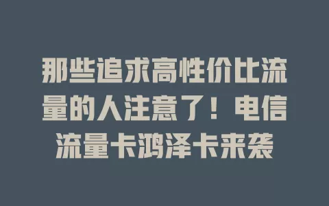 那些追求高性价比流量的人注意了！电信流量卡鸿泽卡来袭