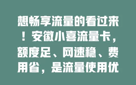 想畅享流量的看过来！安徽小喜流量卡，额度足、网速稳、费用省，是流量使用优质之选，别因流量烦，快来开启畅快之旅