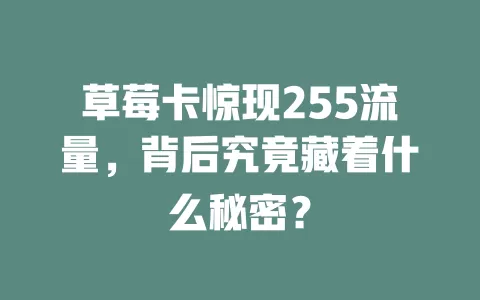 草莓卡惊现255流量，背后究竟藏着什么秘密？
