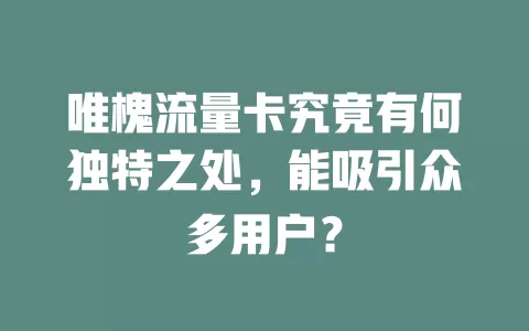 唯槐流量卡究竟有何独特之处，能吸引众多用户？