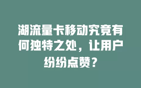 湖流量卡移动究竟有何独特之处，让用户纷纷点赞？