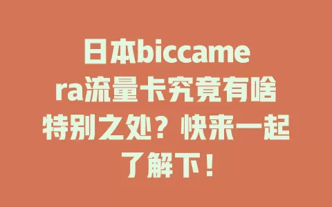 日本biccamera流量卡究竟有啥特别之处？快来一起了解下！