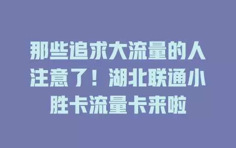 那些追求大流量的人注意了！湖北联通小胜卡流量卡来啦