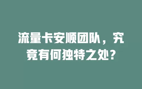 流量卡安顺团队，究竟有何独特之处？