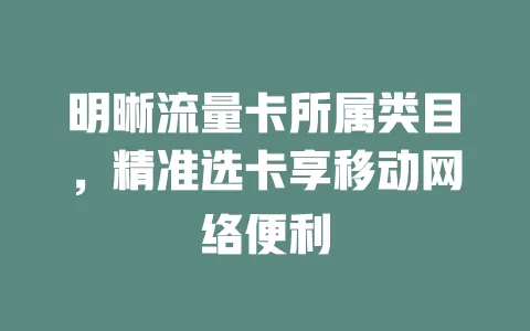 明晰流量卡所属类目，精准选卡享移动网络便利