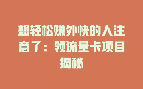 想轻松赚外快的人注意了：领流量卡项目揭秘