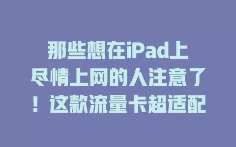 那些想在iPad上尽情上网的人注意了！这款流量卡超适配