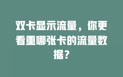 双卡显示流量，你更看重哪张卡的流量数据？