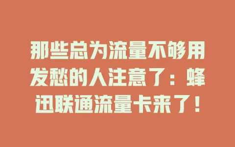 那些总为流量不够用发愁的人注意了：蜂迅联通流量卡来了！