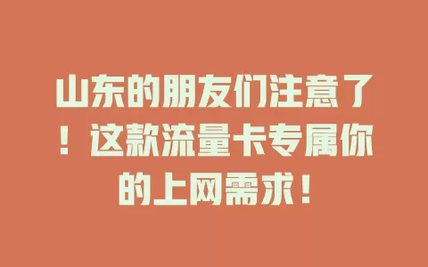 山东的朋友们注意了！这款流量卡专属你的上网需求！