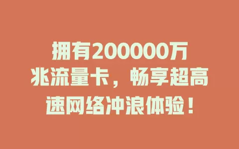 拥有200000万兆流量卡，畅享超高速网络冲浪体验！