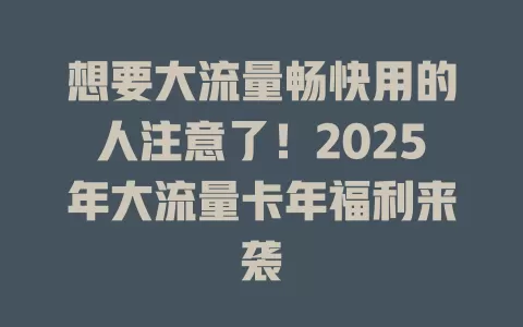 想要大流量畅快用的人注意了！2025年大流量卡年福利来袭