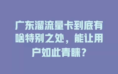 广东溜流量卡到底有啥特别之处，能让用户如此青睐？
