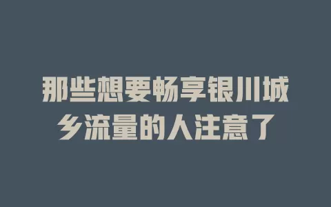 那些想要畅享银川城乡流量的人注意了