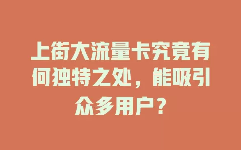 上街大流量卡究竟有何独特之处，能吸引众多用户？