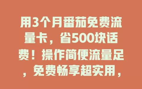 用3个月番茄免费流量卡，省500块话费！操作简便流量足，免费畅享超实用，速来！