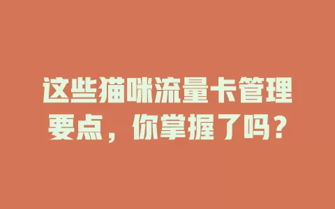 这些猫咪流量卡管理要点，你掌握了吗？