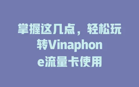 掌握这几点，轻松玩转Vinaphone流量卡使用