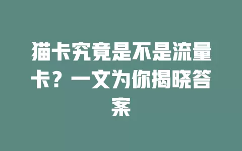 猫卡究竟是不是流量卡？一文为你揭晓答案
