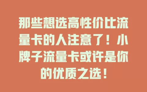那些想选高性价比流量卡的人注意了！小牌子流量卡或许是你的优质之选！