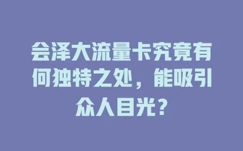 会泽大流量卡究竟有何独特之处，能吸引众人目光？