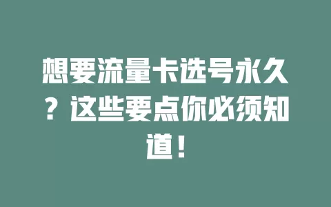 想要流量卡选号永久？这些要点你必须知道！