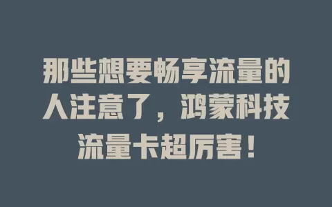那些想要畅享流量的人注意了，鸿蒙科技流量卡超厉害！