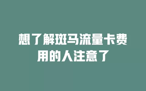 想了解斑马流量卡费用的人注意了