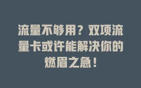 流量不够用？双项流量卡或许能解决你的燃眉之急！