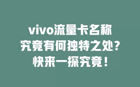 vivo流量卡名称究竟有何独特之处？快来一探究竟！