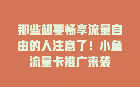 那些想要畅享流量自由的人注意了！小鱼流量卡推广来袭
