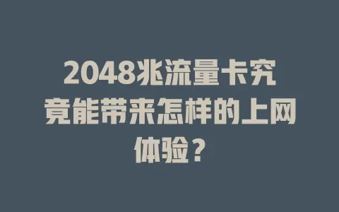 2048兆流量卡究竟能带来怎样的上网体验？