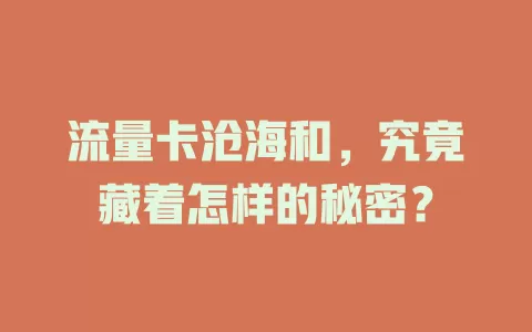 流量卡沧海和，究竟藏着怎样的秘密？
