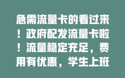 急需流量卡的看过来！政府配发流量卡啦！流量稳定充足，费用有优惠，学生上班族老人都能用，畅享数字生活，你期待吗？