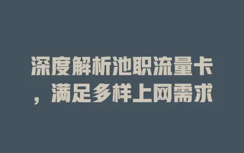 深度解析池职流量卡，满足多样上网需求