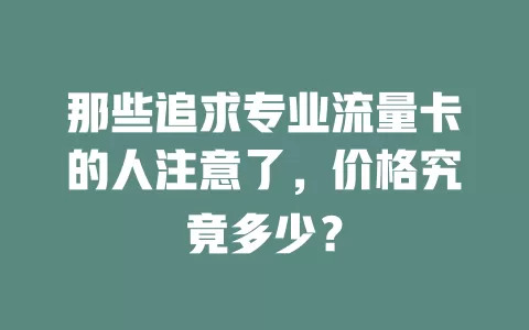 那些追求专业流量卡的人注意了，价格究竟多少？