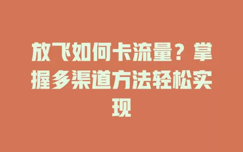 放飞如何卡流量？掌握多渠道方法轻松实现