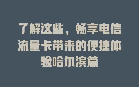 了解这些，畅享电信流量卡带来的便捷体验哈尔滨篇
