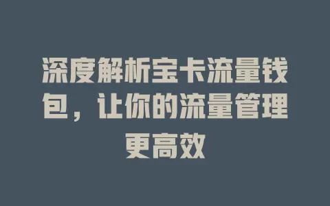 深度解析宝卡流量钱包，让你的流量管理更高效