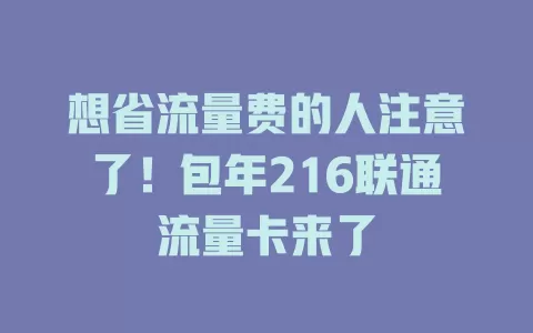 想省流量费的人注意了！包年216联通流量卡来了